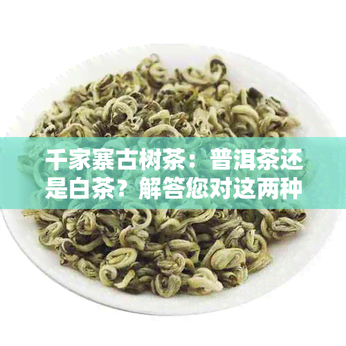 千家寨古树茶：普洱茶还是白茶？解答您对这两种茶叶类型的疑问