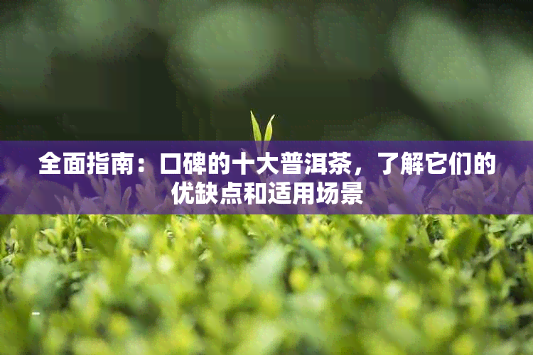 全面指南：口碑的十大普洱茶，了解它们的优缺点和适用场景