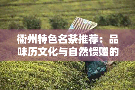 衢州特色名茶推荐：品味历文化与自然馈赠的茶香之美