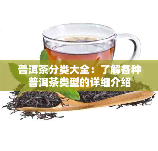 普洱茶分类大全：了解各种普洱茶类型的详细介绍