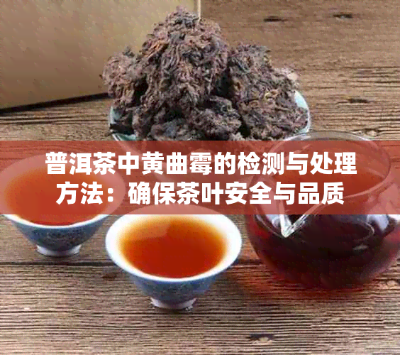 普洱茶中黄曲霉的检测与处理方法：确保茶叶安全与品质