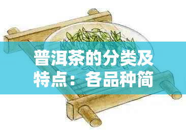 普洱茶的分类及特点：各品种简介