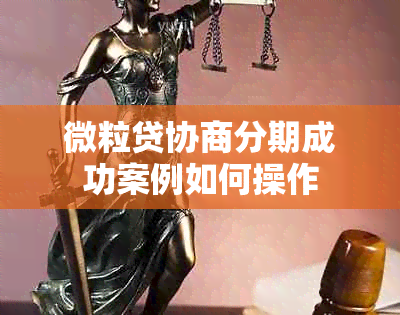 微粒贷协商分期成功案例如何操作