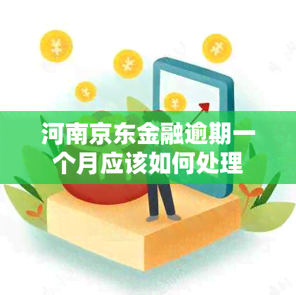 河南京东金融逾期一个月应该如何处理