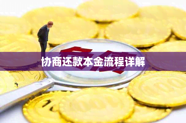 协商还款本金流程详解