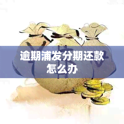 逾期浦发分期还款怎么办