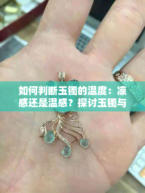 如何判断玉镯的温度：凉感还是温感？探讨玉镯与温度之间的关系