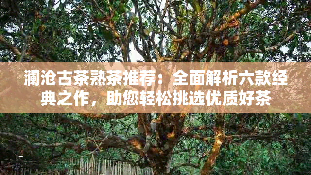 澜沧古茶熟茶推荐：全面解析六款经典之作，助您轻松挑选优质好茶