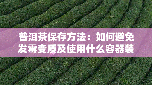 普洱茶保存方法：如何避免发霉变质及使用什么容器装才合适？