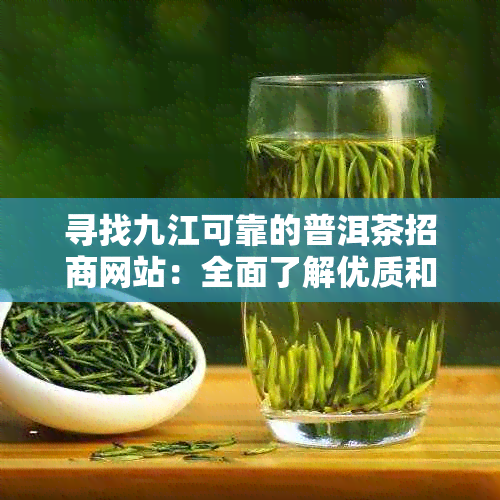 寻找九江可靠的普洱茶招商网站：全面了解优质和加盟机会的一站式指南