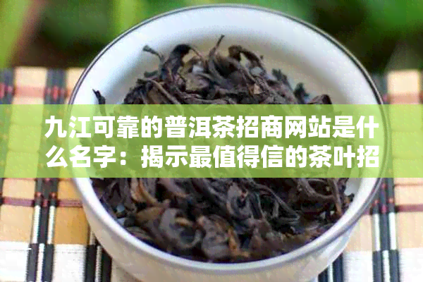 九江可靠的普洱茶招商网站是什么名字：揭示最值得信的茶叶招商网站