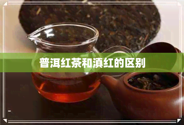 普洱红茶和滇红的区别