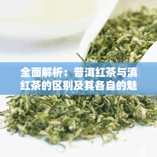 全面解析：普洱红茶与滇红茶的区别及其各自的魅力所在