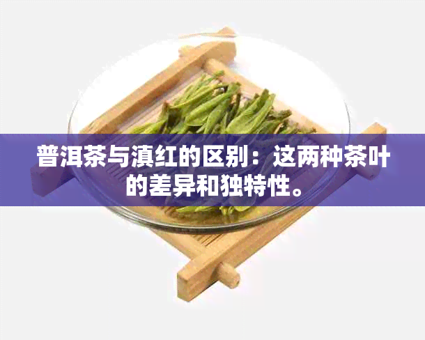 普洱茶与滇红的区别：这两种茶叶的差异和独特性。