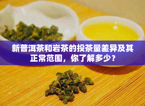 新普洱茶和岩茶的投茶量差异及其正常范围，你了解多少？