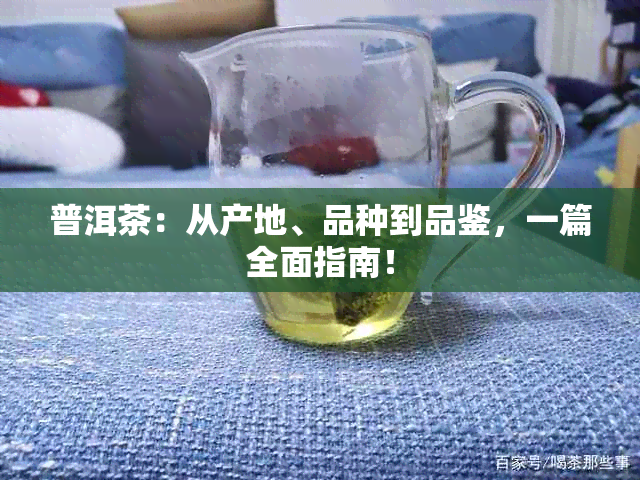 普洱茶：从产地、品种到品鉴，一篇全面指南！