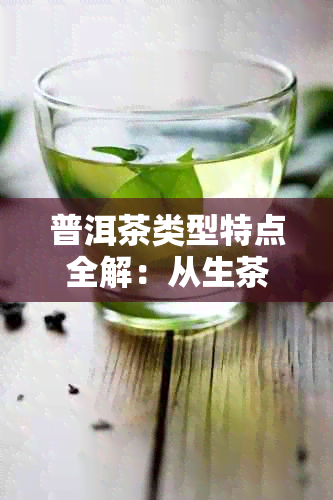 普洱茶类型特点全解：从生茶、熟茶到散茶，了解各种普洱茶的特点与品鉴方法