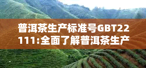 普洱茶生产标准号GBT22111:全面了解普洱茶生产工艺和质量要求