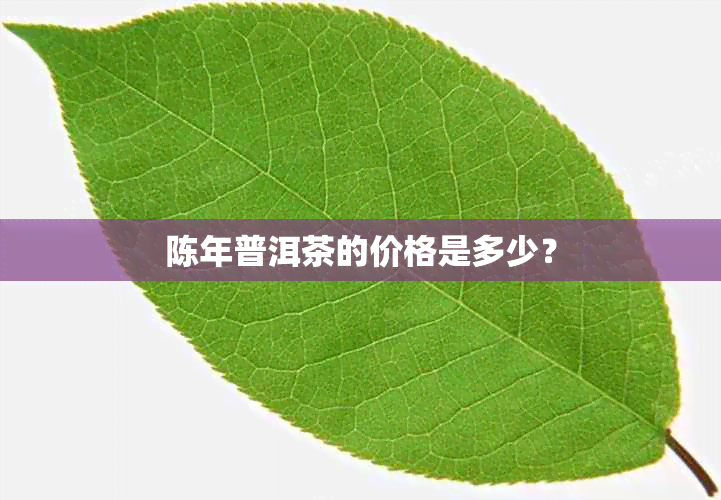 陈年普洱茶的价格是多少？