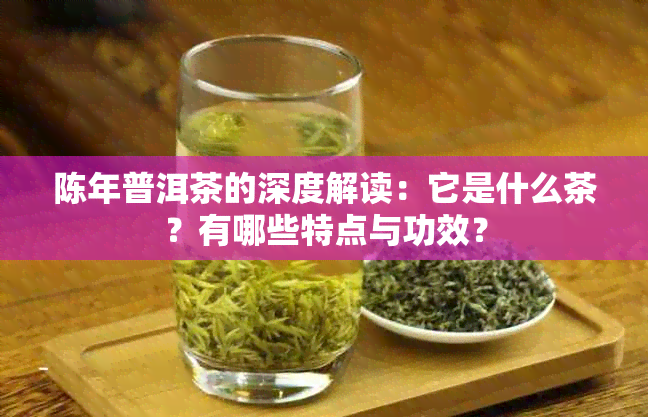 陈年普洱茶的深度解读：它是什么茶？有哪些特点与功效？