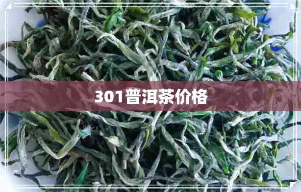 301普洱茶价格