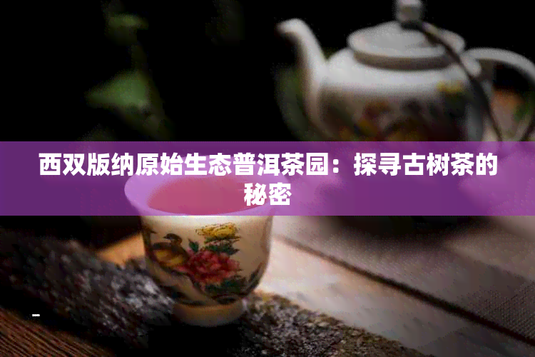 西双版纳原始生态普洱茶园：探寻古树茶的秘密