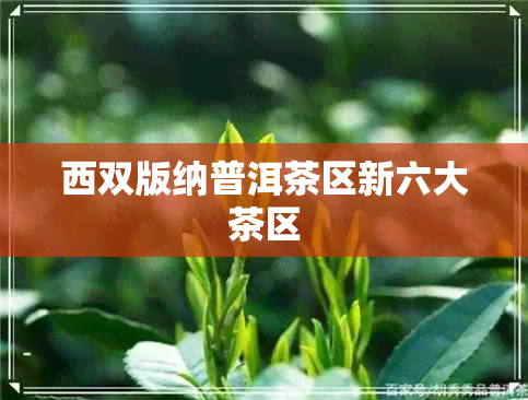 西双版纳普洱茶区新六大茶区