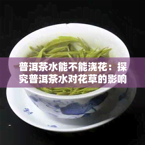 普洱茶水能不能浇花：探究普洱茶水对花草的影响