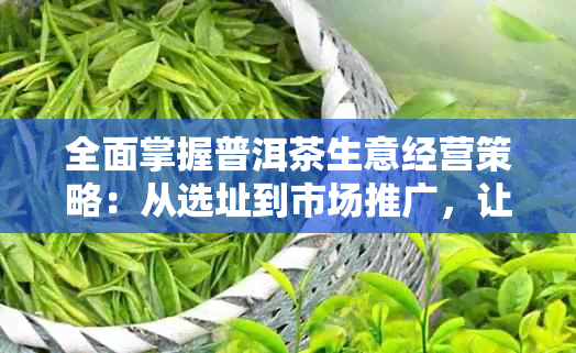 全面掌握普洱茶生意经营策略：从选址到市场推广，让你的茶业事业蒸蒸日上