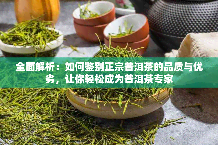 全面解析：如何鉴别正宗普洱茶的品质与优劣，让你轻松成为普洱茶专家