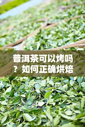 普洱茶可以烤吗？如何正确烘焙普洱茶以获得口感？