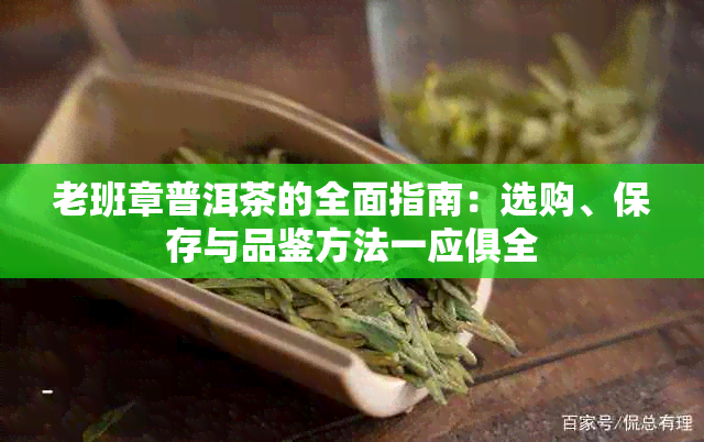 老班章普洱茶的全面指南：选购、保存与品鉴方法一应俱全