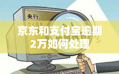 京东和支付宝逾期2万如何处理