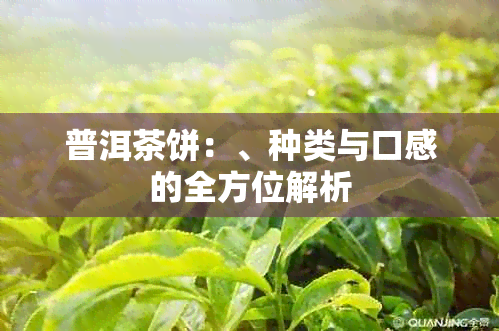 普洱茶饼：、种类与口感的全方位解析