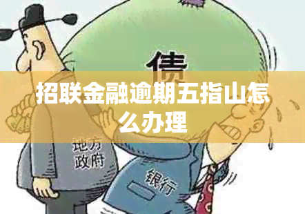 招联金融逾期五指山怎么办理