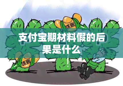 支付宝期材料假的后果是什么