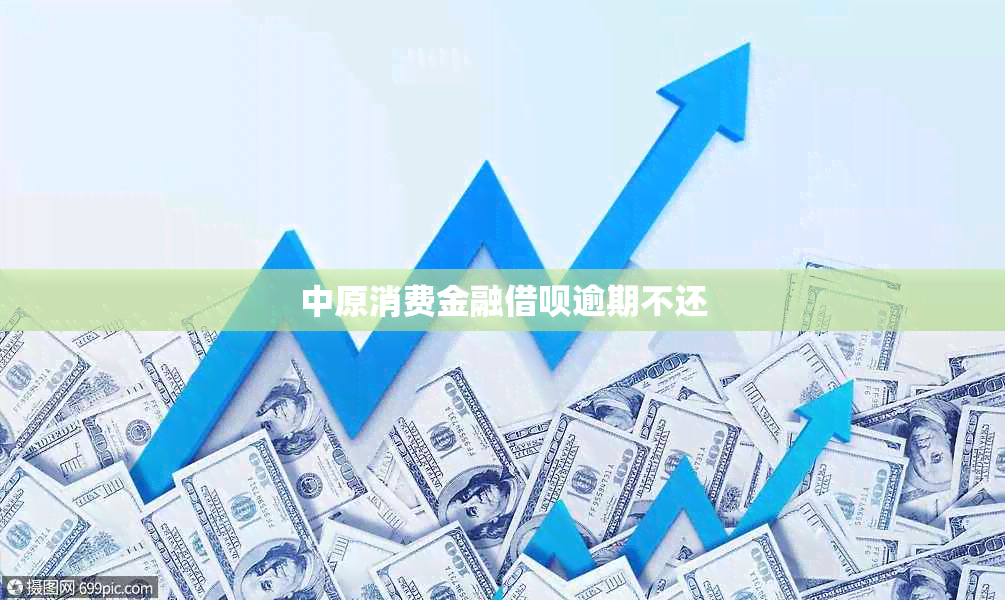 中原消费金融借呗逾期不还