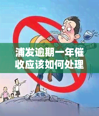 浦发逾期一年应该如何处理