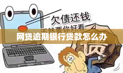 网贷逾期银行贷款怎么办