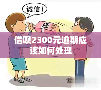 借呗2300元逾期应该如何处理