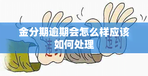 金分期逾期会怎么样应该如何处理