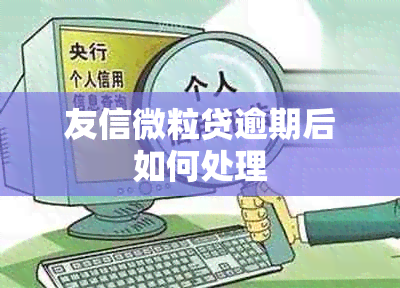 友信微粒贷逾期后如何处理