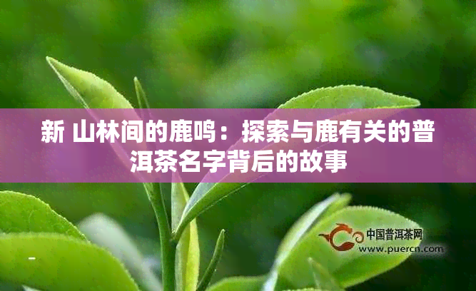 新 山林间的鹿鸣：探索与鹿有关的普洱茶名字背后的故事