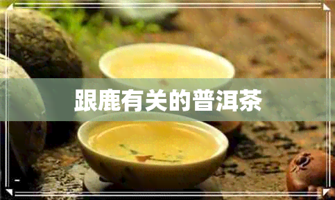 跟鹿有关的普洱茶