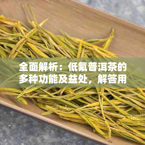 全面解析：低氟普洱茶的多种功能及益处，解答用户关于低氟普洱茶的所有疑问