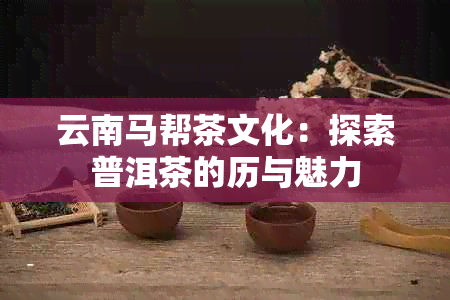 云南马帮茶文化：探索普洱茶的历与魅力