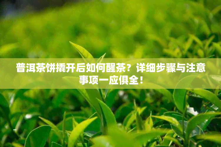 普洱茶饼撬开后如何醒茶？详细步骤与注意事项一应俱全！