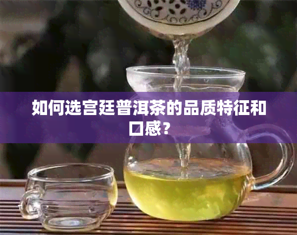 如何选宫廷普洱茶的品质特征和口感？