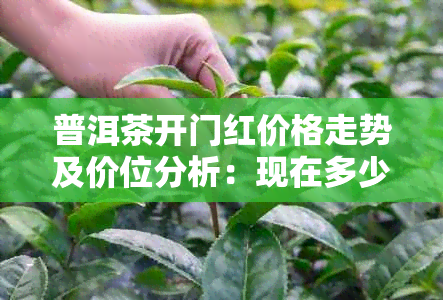 普洱茶开门红价格走势及价位分析：现在多少钱一斤？