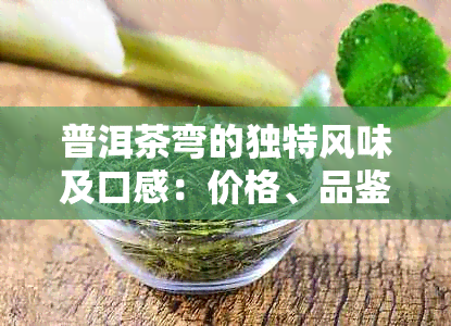 普洱茶弯的独特风味及口感：价格、品鉴与感受